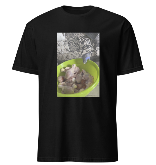 Vogel guckt Vogel T-Shirt
